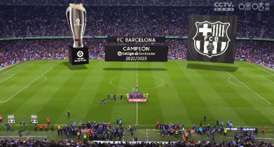 记者：纽卡正密切关注莱斯特城外租球员哈努斯，水晶宫也有意